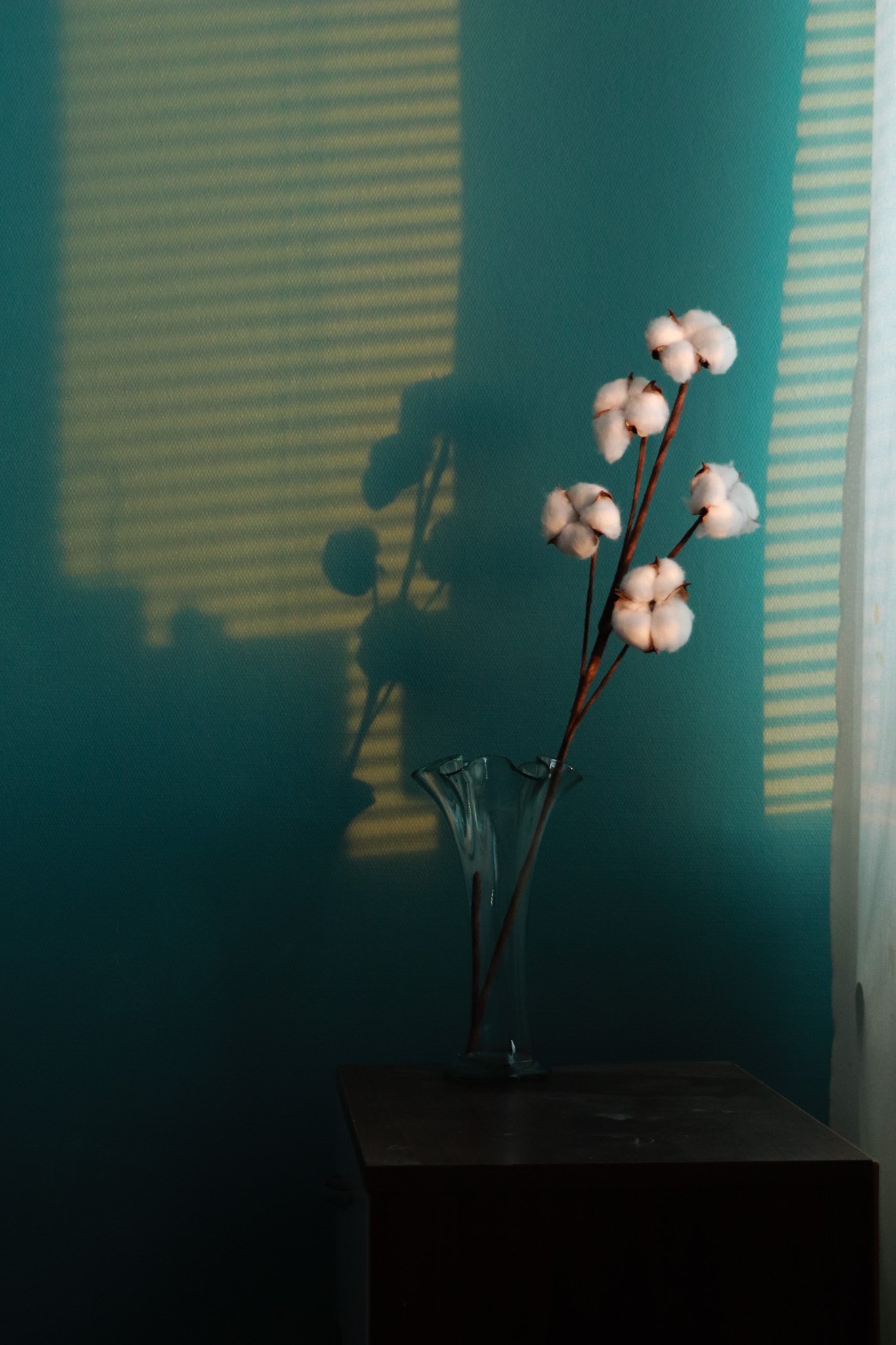 3adpxe5QGXNijKxOs3SV5lTQCkDSBPX3