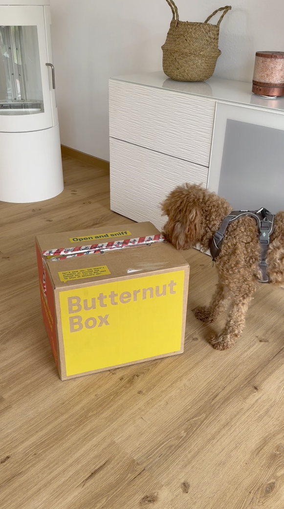 Screenshot 2025-08-04 at 10.00.08