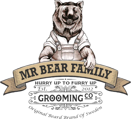 mr bear logo